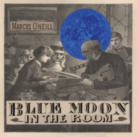 Blue Moon In The Room cover